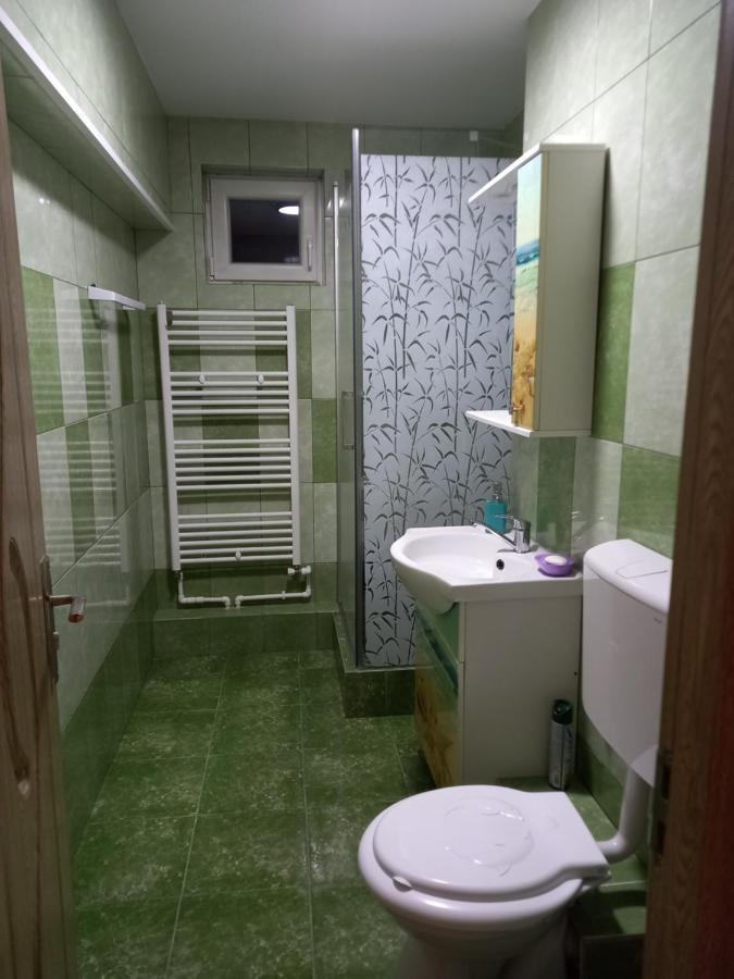 Apartament Bucovina Apartment Campulung Moldovenesc Exterior photo