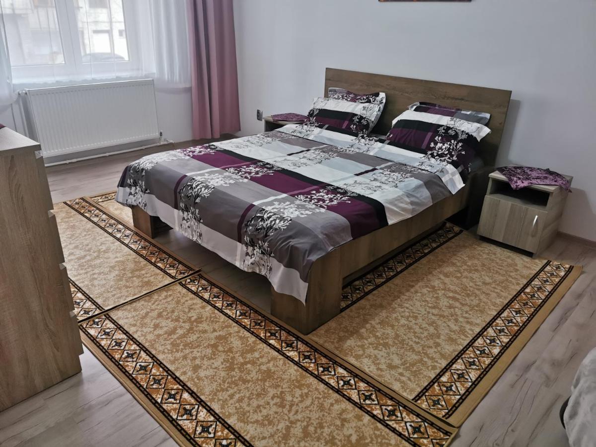 Apartament Bucovina Apartment Campulung Moldovenesc Exterior photo