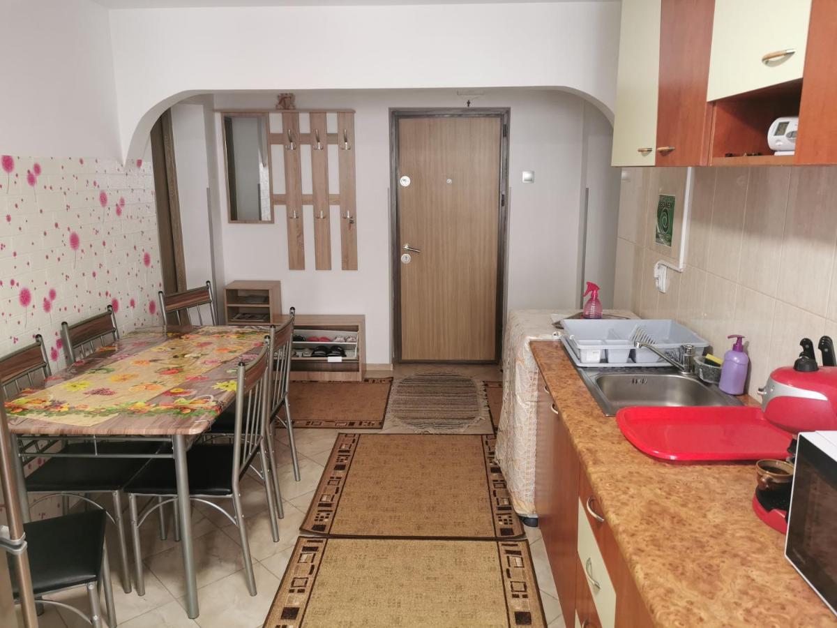 Apartament Bucovina Apartment Campulung Moldovenesc Exterior photo