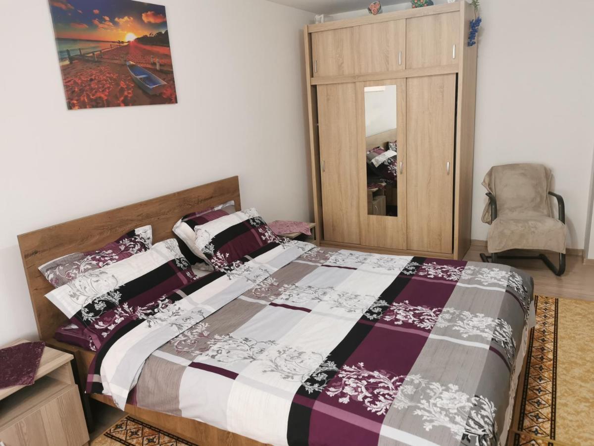 Apartament Bucovina Apartment Campulung Moldovenesc Exterior photo